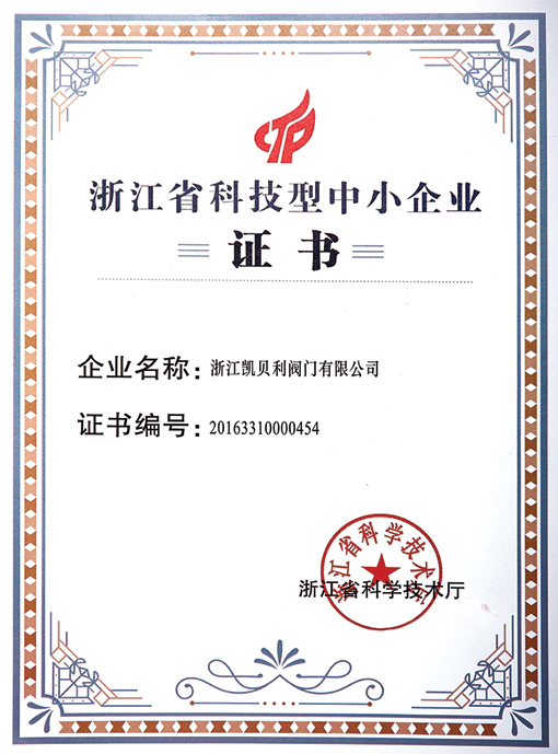浙江省科技型中小企业证书